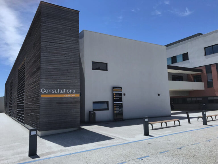 Bat consultation2 1 768x576